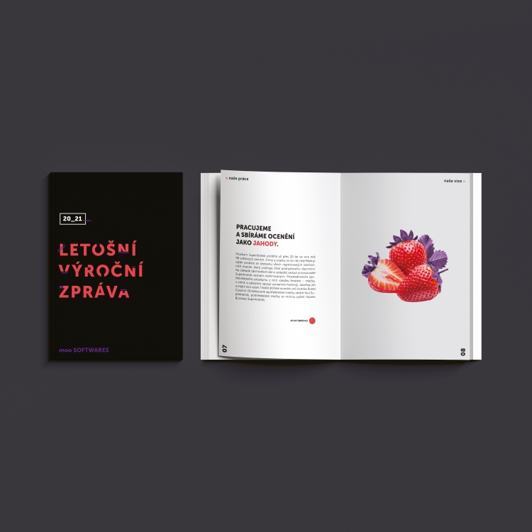COMPANY BROCHURE DESIGN